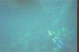 Taylor Scuba Diving 05